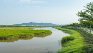 découvrez la transformation du parc humide de la rivière dongyun à leyu, où les fondations écologiques sont reconstruites pour créer un espace paysager côtier innovant. plongez dans un environnement revitalisé qui allie nature, durabilité et beauté, offrant un havre de paix pour la faune et les visiteurs.